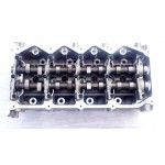 NEW YD25 COMPLETE CYLINDER HEAD Nissan Navara D40 D22 Pathfinder R51 2.5L TD