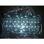 NISSAN NAVARA BARE CYLINDER HEAD YD25 BRAND NEW 2002-2006.